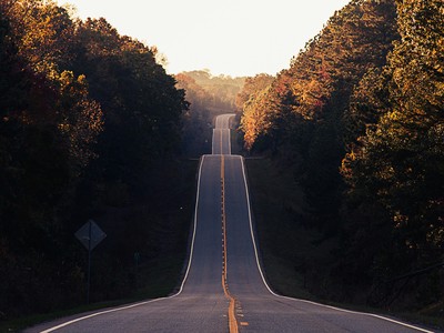 CameraForensics in 2024: our roadmap